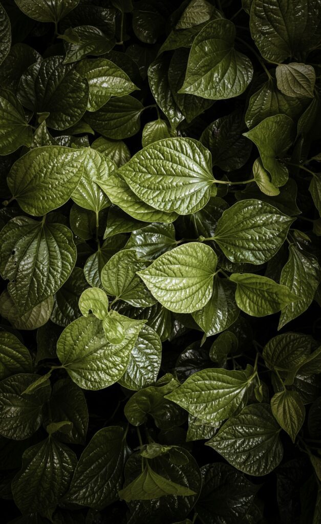 Why Quality Grow Light Matter for Healthy Plants