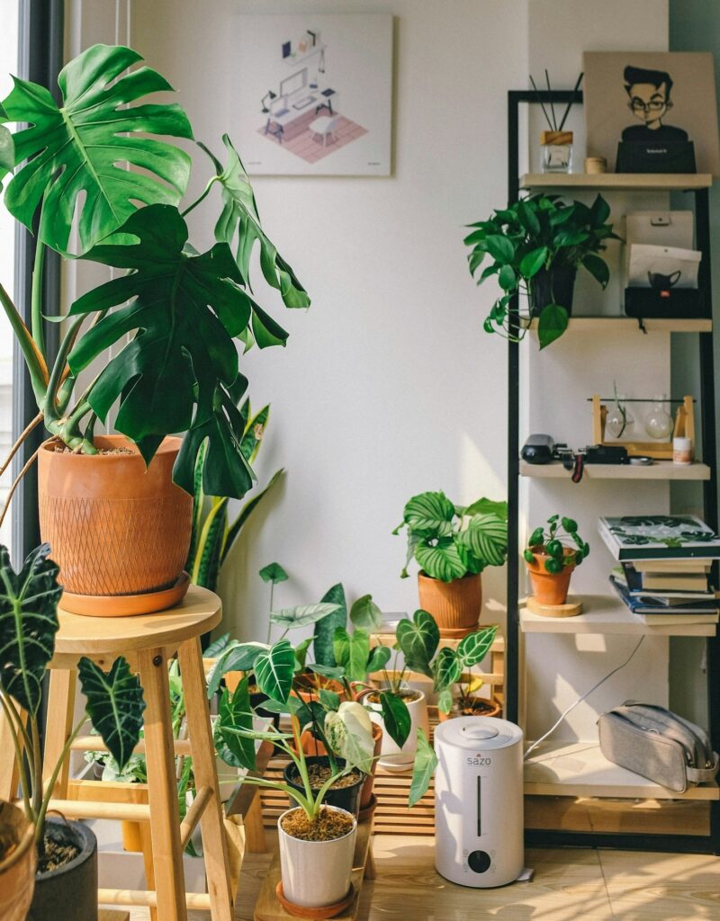 Why Quality Grow Light Matter for Healthy Plants-1