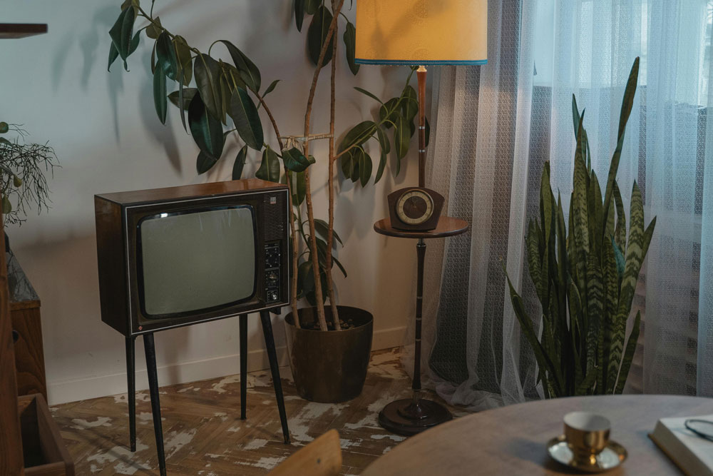 Boost Rubber Plant Growth with the Right Grow Light Setup